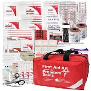 First Aid Kit Intermediate Large Type 3 CSA Hard Case 100 People Maximum